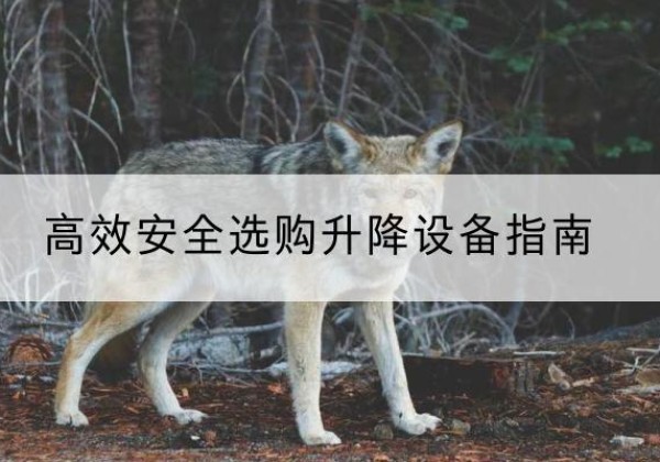 桦甸升降货梯厂家推荐-*安全选购升降设备指南