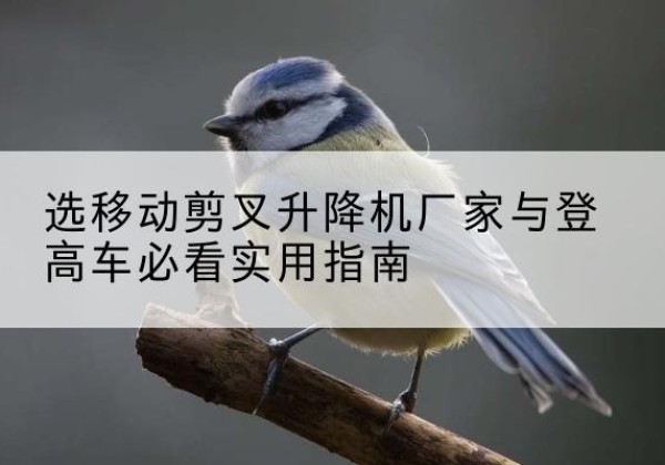 桦甸电动升降机厂家-选移动剪叉升降机厂家与登高车必看实用指南